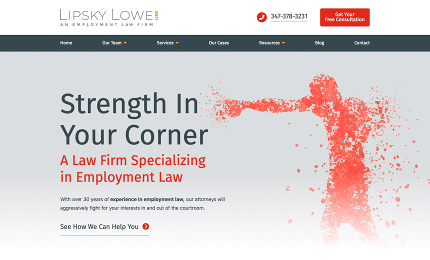 Lipsky Lowe LLP website preview