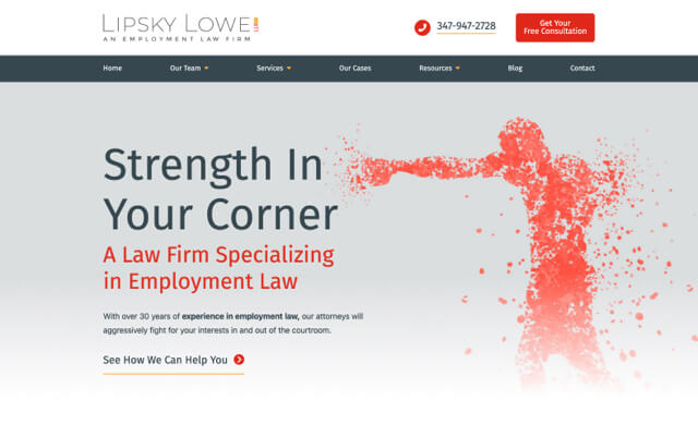 Lipsky Lowe LLP desktop website preview
