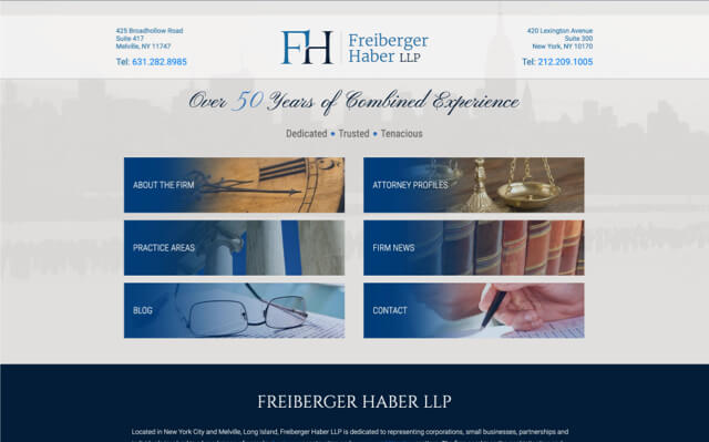 Freiberger Haber LLP desktop website preview