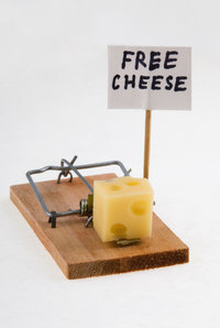 mouse trap with cheese
