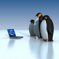 penguins with a computer