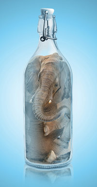 elephant in a jar