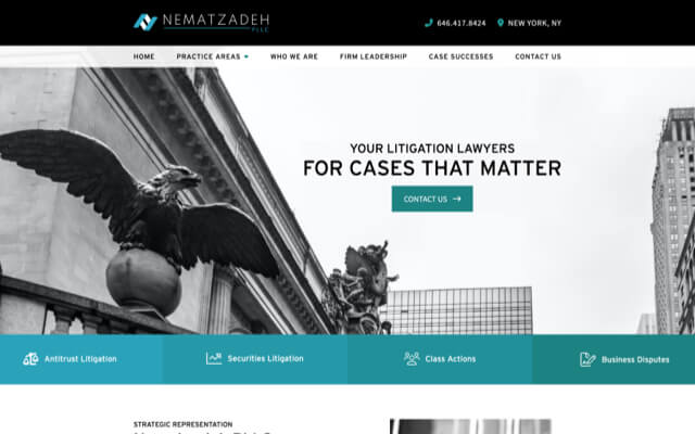 Nematzadeh PLLC website preview