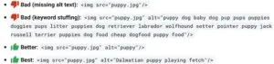 google webmaster alt text example
