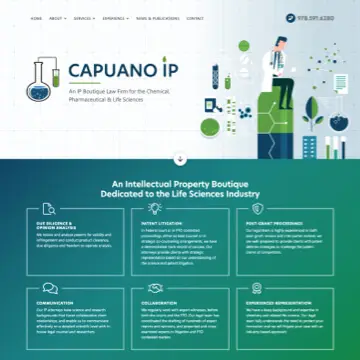 Capuano Law View website