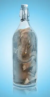 elephant in a jar