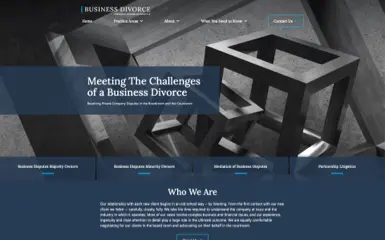 Diamond McCarthy website preview
